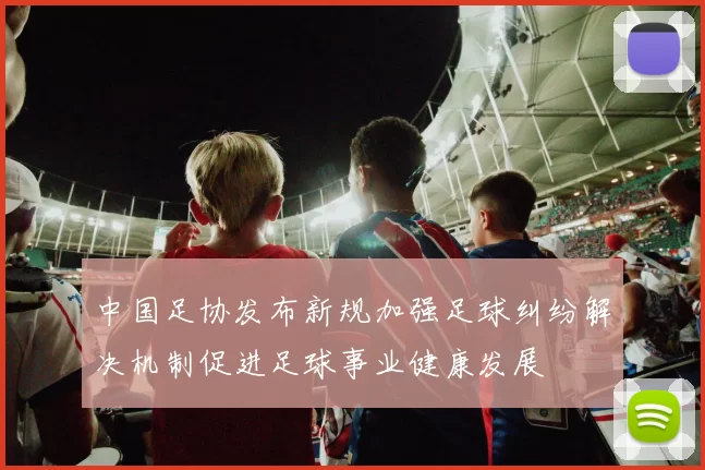 中国足协发布新规加强足球纠纷解决机制促进足球事业健康发展